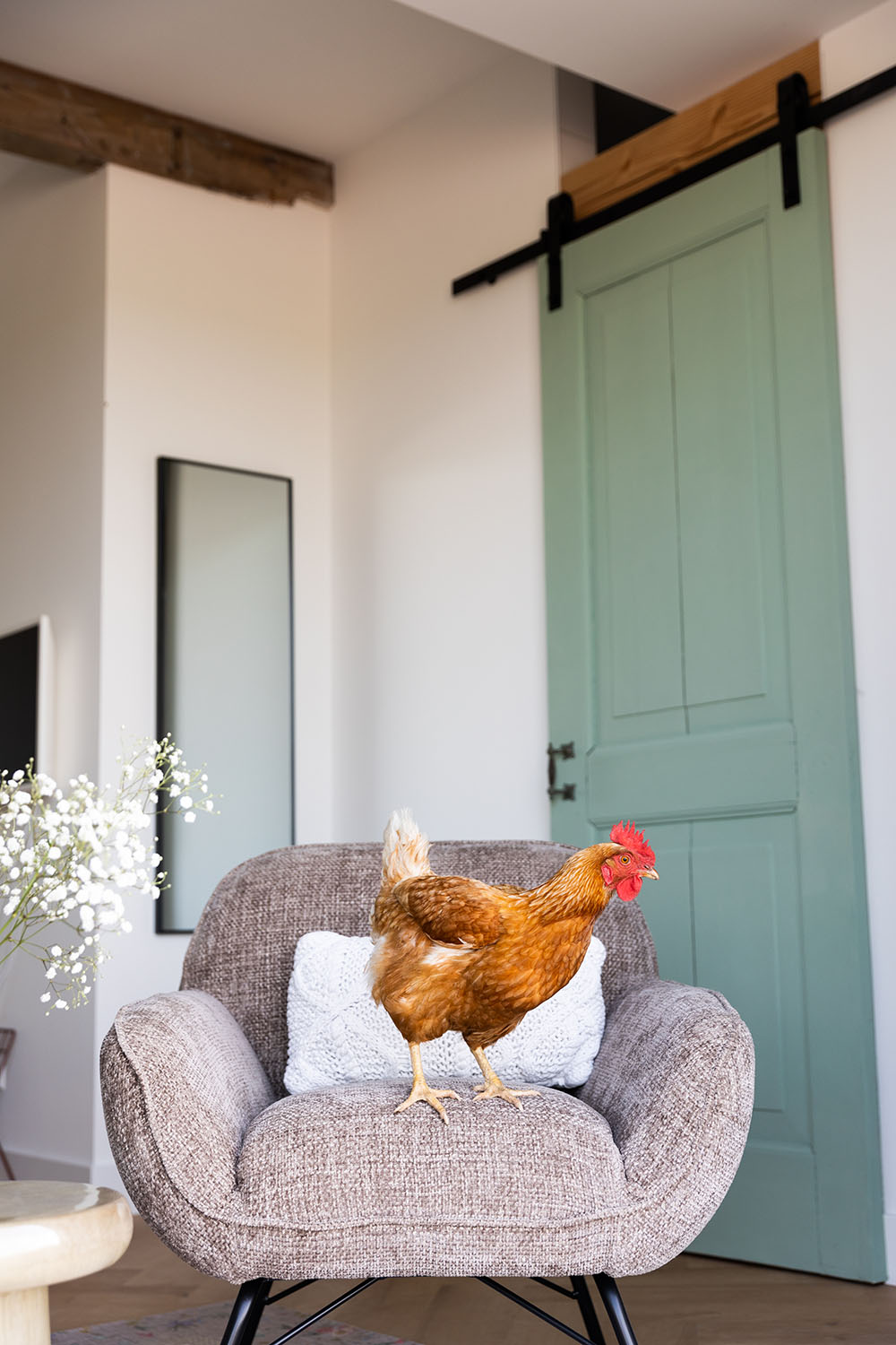 Bed & Breakfast kamers De Zuiderstolp - Kamer de Weidegang